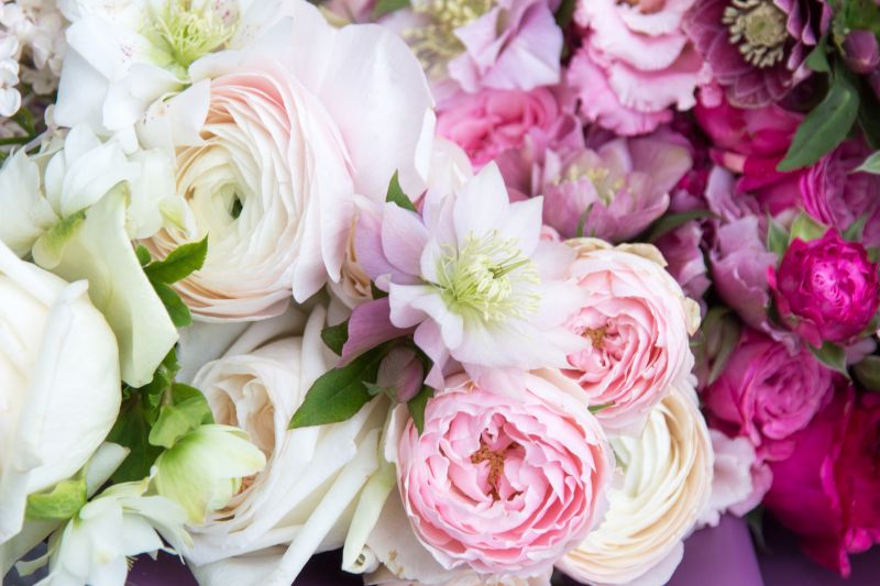 Expert Flower Selection